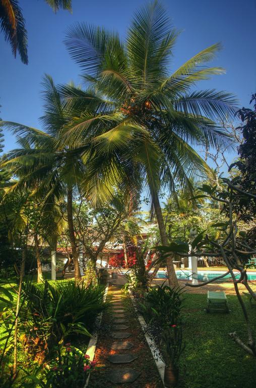 Ypsylon Tourist Resort 베루왈라 외부 사진